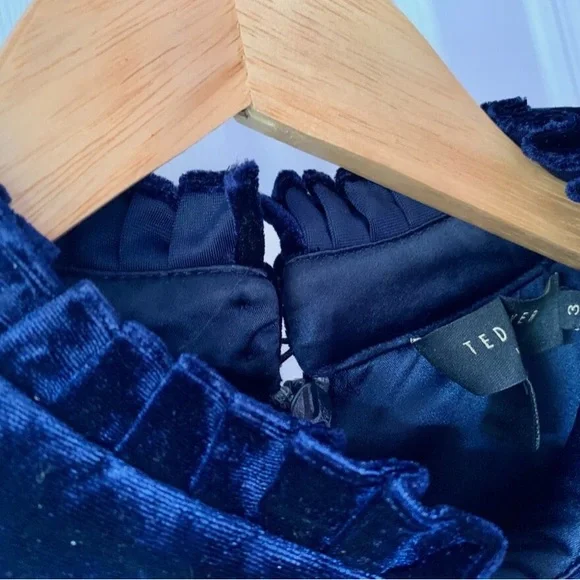 Ted Baker Cornella pleated velvet midi dress Blue- UK Sz 2 - US size  6-8 - Picture 6 of 6